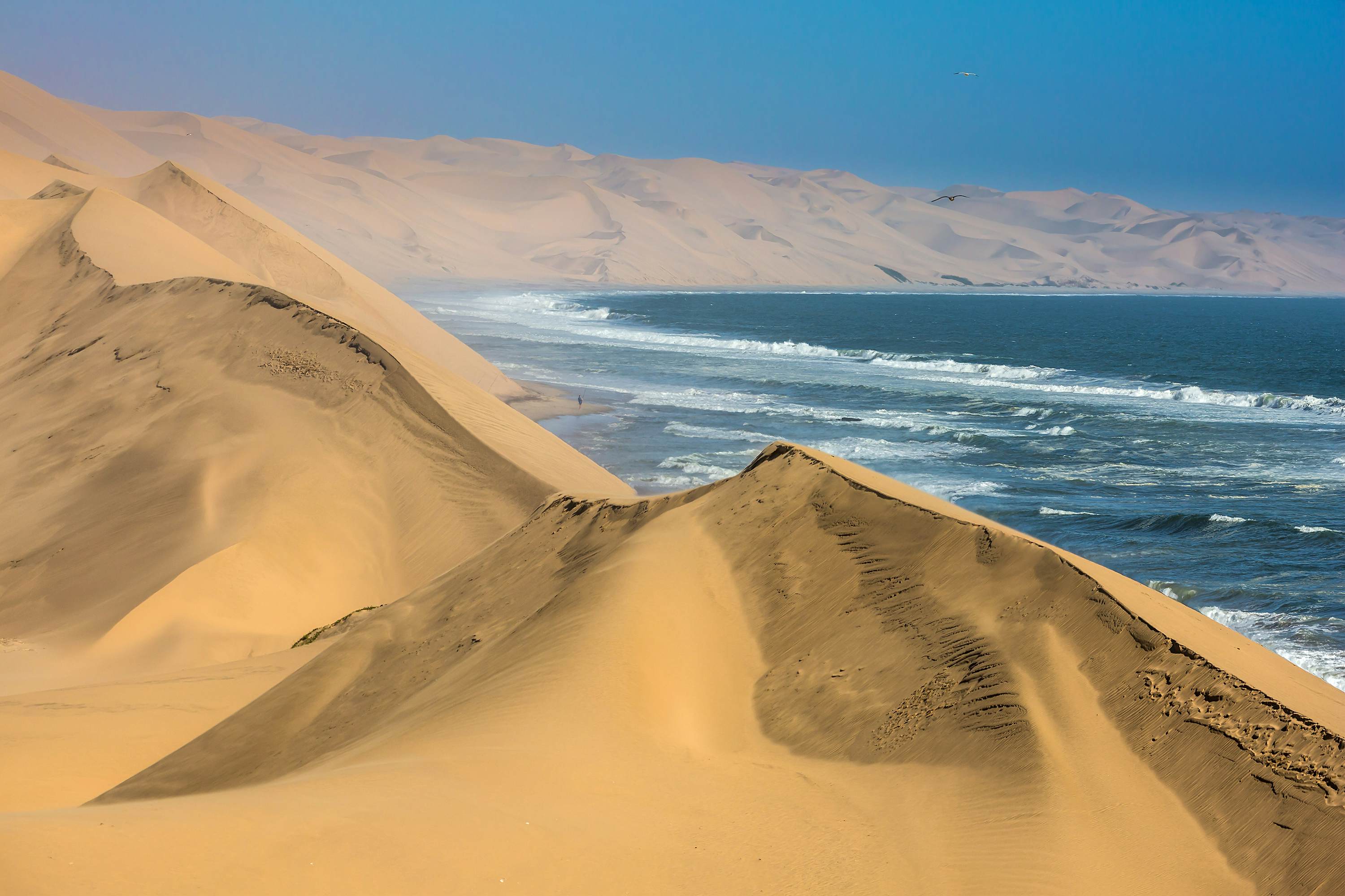 The concept of extreme and exotic tourism. Ocean surf with foamy waves. Gorgeous jeep - safari through the huge sand dunes. Atlantic coast of Walvis Bay, Namibia, south of Africa